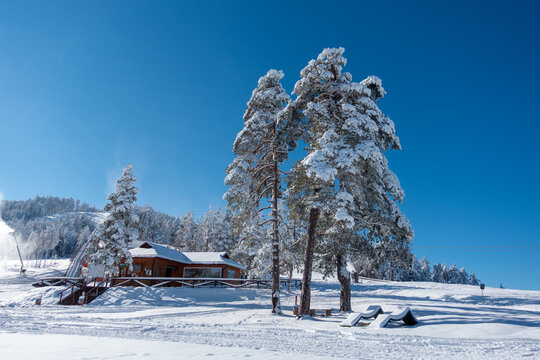 The beginning of the ski slope on Tornik, the highest peak of Mount Zlatibor in Serbia.  Winter landscape.