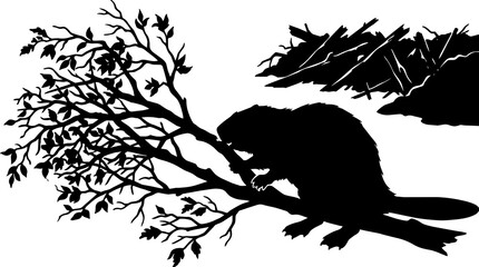 Obraz premium Black silhouette of a beaver gnawing on a tree branch near a dam, isolated on transparent background