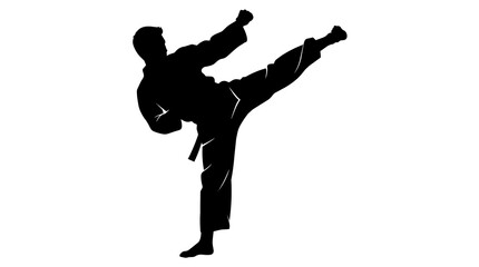 Black silhouette of a martial artist performing a side kick, isolated on transparent background © Hughes