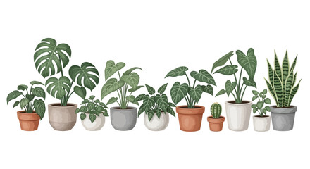 A collection of potted houseplants arranged in a row showcasing diverse foliage and containers © Shakil