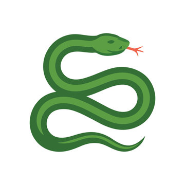 Green snake illustration, curled serpent mascot, reptile show poster, wildlife awareness workshop, forest camp badge, herpetology session graphic, vector design