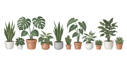 An illustrative arrangement of various potted indoor plants showcasing diverse leaf shapes and textures © Shakil
