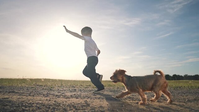 Boy child running, dog and puppy chasing across dirt field. Boy loves freedom, child loves sun and sky. Dog running quickly, puppy running near. Field wide, dirt dry, sky endless, freedom alive.