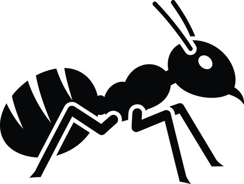 A black and white image of an ant