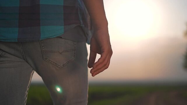 Close-up man hand near jeans pocket in sunlight. Walking in field, plaid shirt moves in wind. Outdoor sunlight hits denim. Gesture of hand relaxed. Plaid shirt touches jeans in soft field light