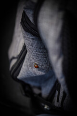 close up portrait of a ladybug on a backpack © Hayden