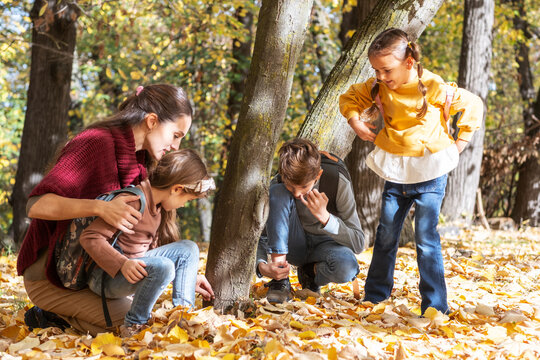 Energetic teacher leads a small, diverse group of preschoolers on an outdoor nature exploration, pointing out interesting details of the local flora and fauna.