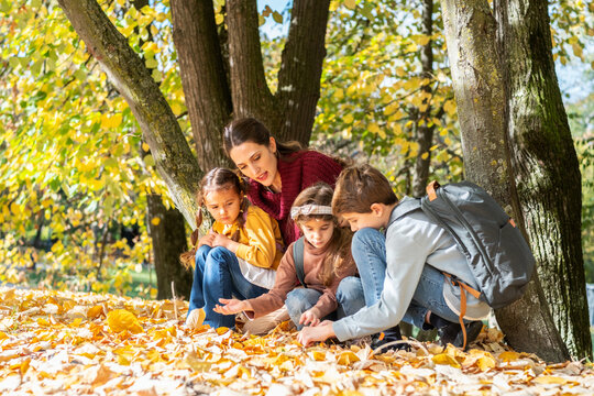 Energetic teacher leads a small, diverse group of preschoolers on an outdoor nature exploration, pointing out interesting details of the local flora and fauna.