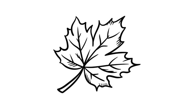 Minimalist black line art vector illustration of a detailed maple leaf icon on a white background, perfect for autumn nature designs, Canadian symbols, and botanical graphic elements for web.