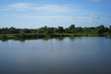 Obraz premium Serene lake reflecting lush green trees under a bright blue sky with scattered clouds