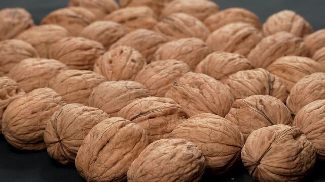 High-angle oblique view of whole organic walnuts in shells with selective focus and pleasing bokeh. Natural food concept for healthy diet projects.