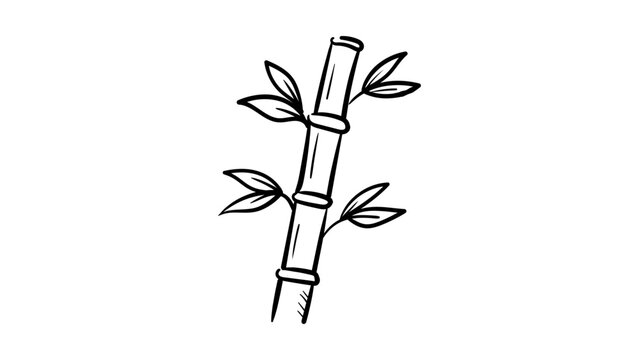 Minimalist black line vector icon of a bamboo stalk with leaves, hand-drawn illustration on a white background. Scalable SVG graphic for nature, spa, wellness, and Asian culture themed designs.
