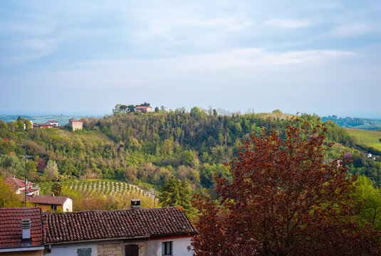 Spring panorama of the hills surrounding the village of Vignale Monferrato, in the Monferrato wine region (Piedmont, northern Italy), early springtime.