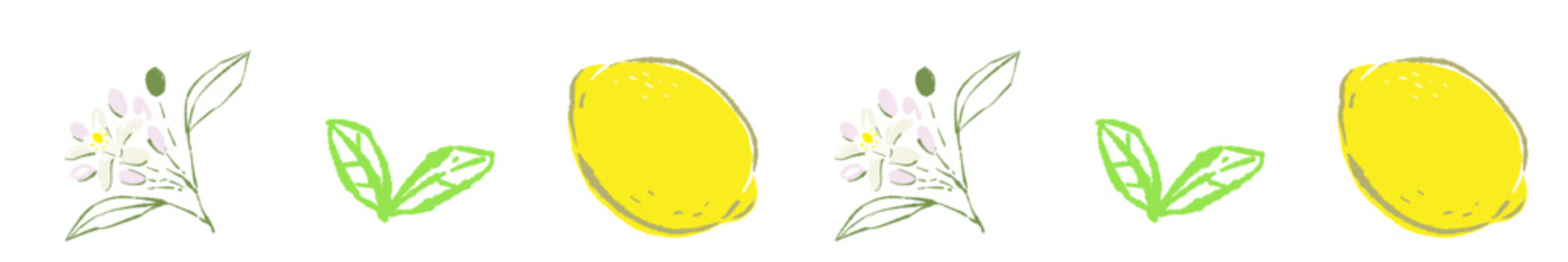 Simple Lemon Slice Line Divider