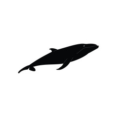 Obraz premium minimal flat fish silhouette illustration simple art design 