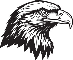 Fototapeta premium Majestic Eagle Head in Black and White Illustration