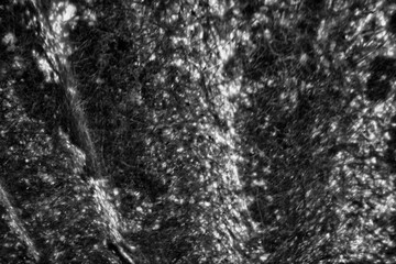 Obraz premium High contrast grain texture black and white 