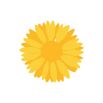 Yellow Flower Illustration.