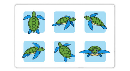Six green sea turtles swimming differently. © aifa