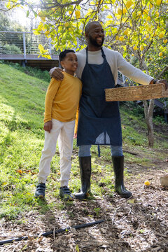African American father and son harvesting lemons in garden, wearing denim apron and holding basket
