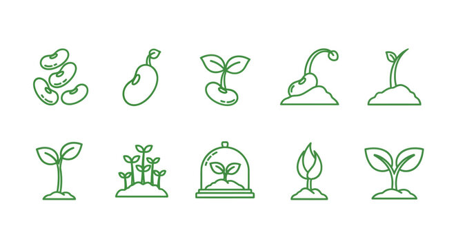 Collection of ten simple green line icons representing different stages of plant growth, from seed to sprout, on a white background