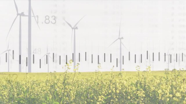 Data feed arriving, bars rising and falling while polyline sweeping horizon visualizing wind output