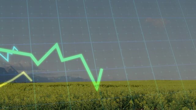 Translucent grid appearing over farm field, neon green graph moving, rising, showing crop trends