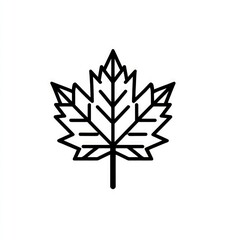 Obraz premium Simple black line art maple leaf icon on a clean white background