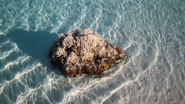 黄金時間帯・珊瑚礁周回軌道ドローン映像・夕暮れターコイズラグーン
