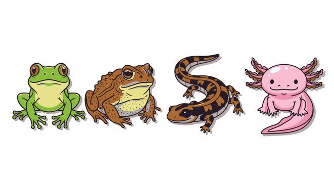 Colorful illustration of four amphibians together.