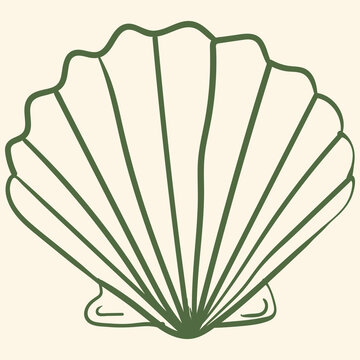 Simple line art illustration of a scallop shell, handdrawn style vector icon