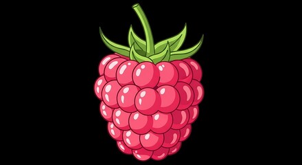 Illustration of a ripe raspberry with green leaves on a black background © Last
