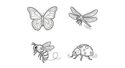 Fototapeta premium Set of Four Insects: Butterfly, Dragonfly, Bee, Ladybug, Line Art, Vector, Isolated