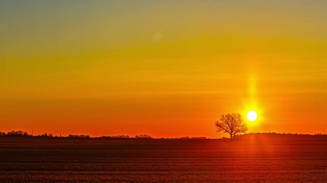 Stunning sunrise timelapse transitions sky from deep red through golden yellow to clear blue over flat plowed field with lone bare tree silhouette on horizon