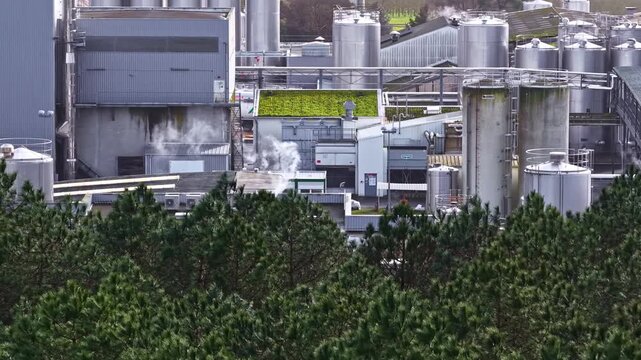 Close aerial of industrial buildings and pipes above trees, smoke rises below silos and grain elevators