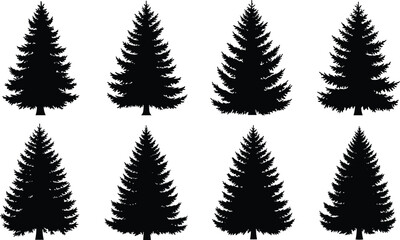 Obraz premium Set of pine tree silhouettes collection, detailed evergreen forest vector illustrations isolated on white background for nature design and branding