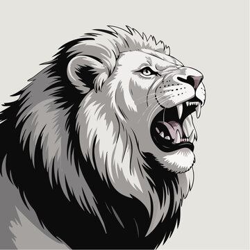 Powerful roaring lion head illustration portrait.