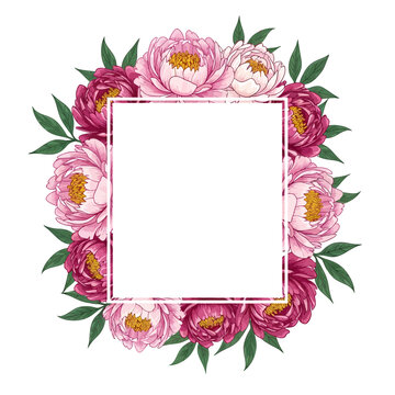 Pink Peonies Flower Wreath Border.