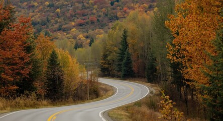 Fototapeta premium Scenic rural road winding through colorful autumn forest hills