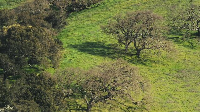 Clouds over a Green Hilltop Timelapse