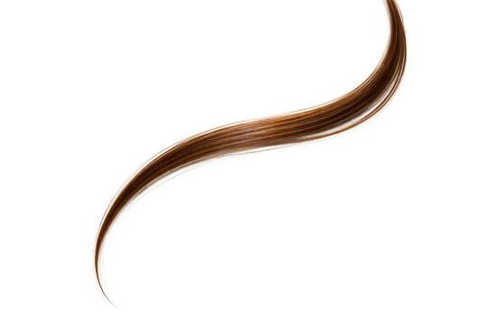 Close up of a single brown hair strand on a clean white background with ample copy space