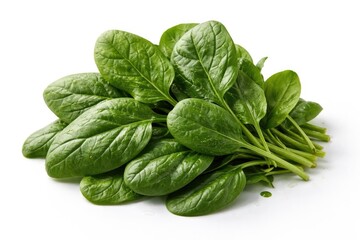 Fototapeta premium Fresh Spinach Leaves Piled on a Clean White Background