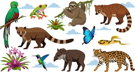 Obraz premium Tropical Wildlife Collection: Parrots, Frogs, Sloths, and Exotic Animals