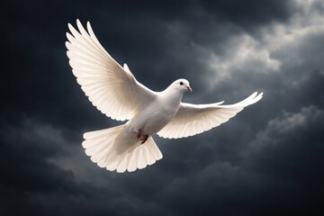Obraz premium A peaceful white dove soaring gracefully in front of a dark backdrop