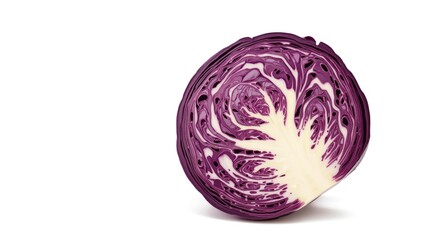 Fototapeta premium Whole purple cabbage with clear white background for design use