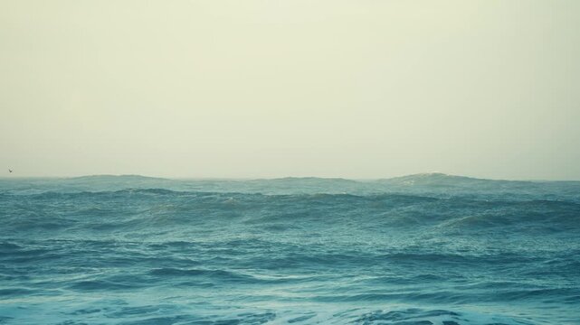 Misty Beach at Sunrise in Slow Motion
