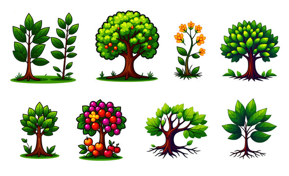 
plant illustration