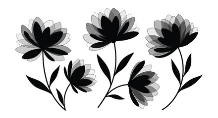 Fototapeta premium Black flowers on stems with leaves