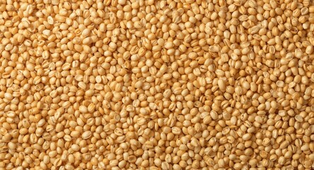 Fototapeta premium Warm toned soybean seed texture with minimal grain detail
