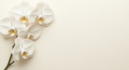 Obraz na płótnie Canvas Stylish wedding invitation decorated with white orchids on cream textured backdrop with extensive copy space